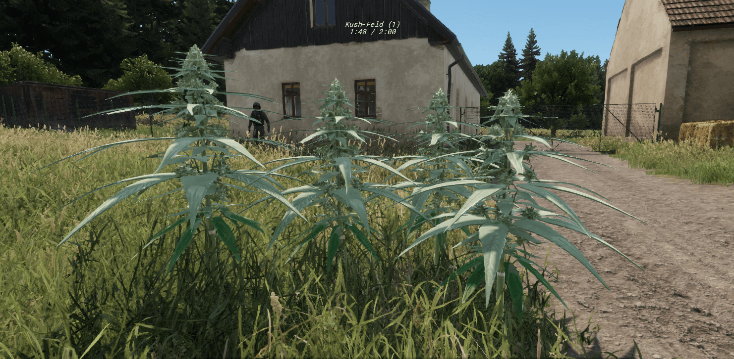 Active in-game drug cultivation system showing growing crops